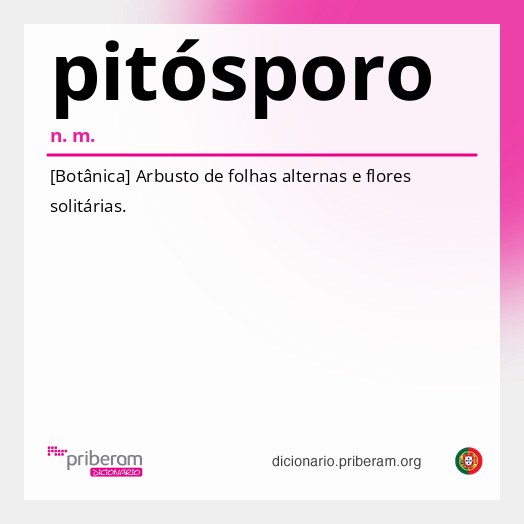 Significado de pitósporo