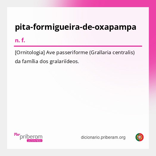 Significado de pita-formigueira-de-oxapampa