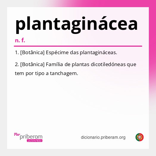 Significado de plantaginácea