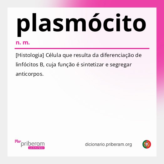 Significado de plasmócito