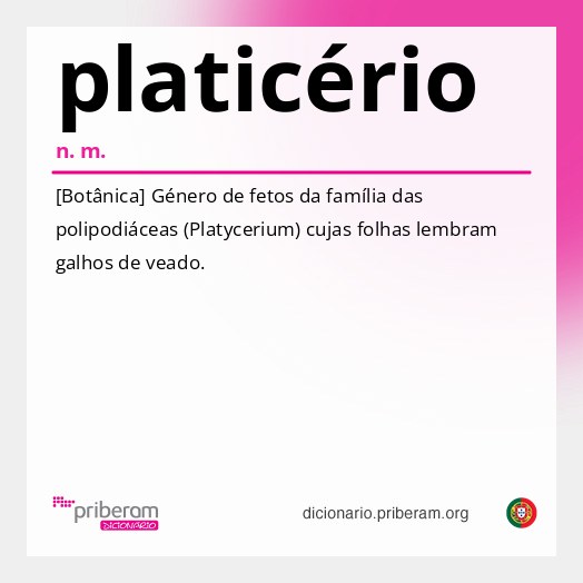 Significado de platicério