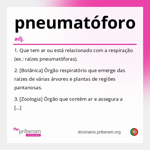 Significado de pneumatóforo