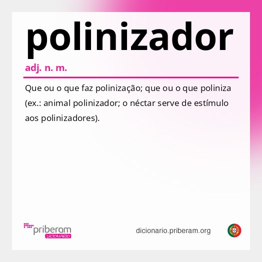 Significado de polinizador