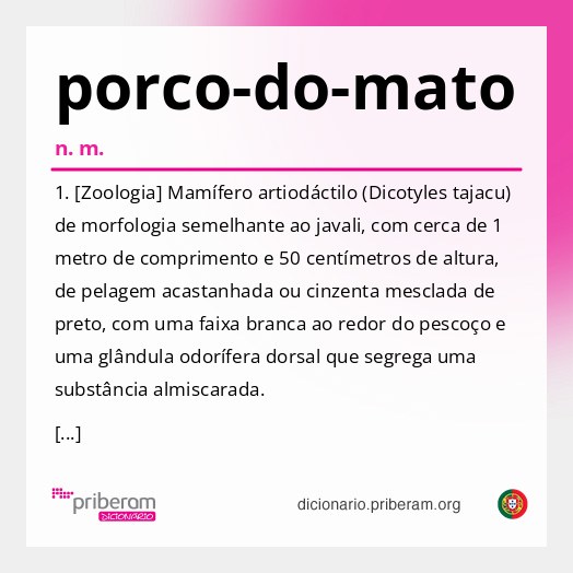 Significado de porco-do-mato