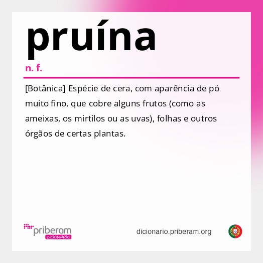 Significado de pruína