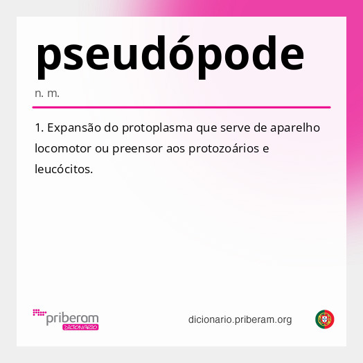Significado de pseudópode