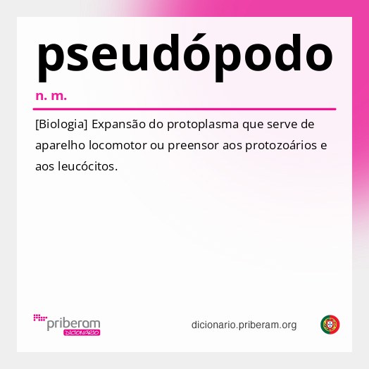 Significado de pseudópodo
