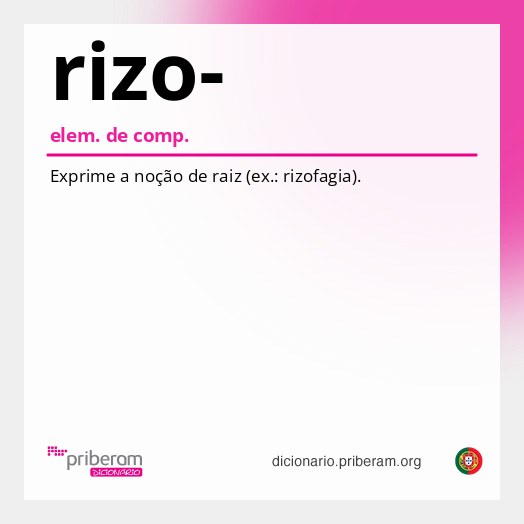 Significado de rizo-