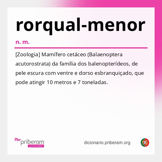 Significado de rorqual-menor