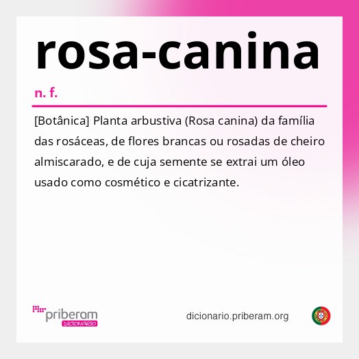 Significado de rosa-canina