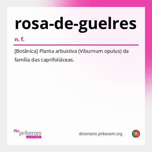 Significado de rosa-de-guelres
