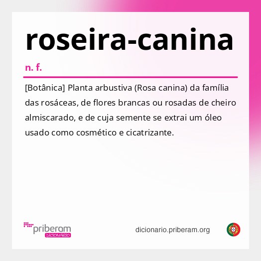 Significado de roseira-canina