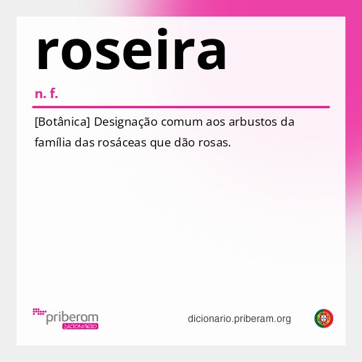 Significado de roseira