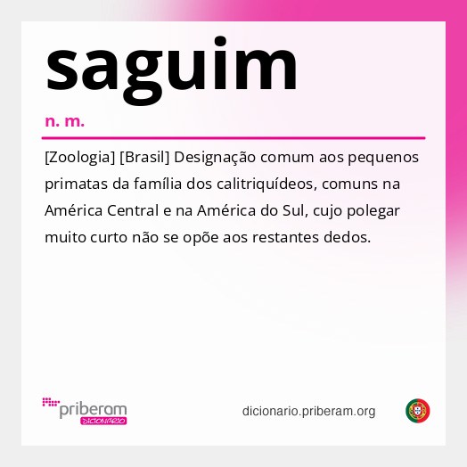 Significado de saguim