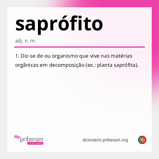 Significado de saprófito
