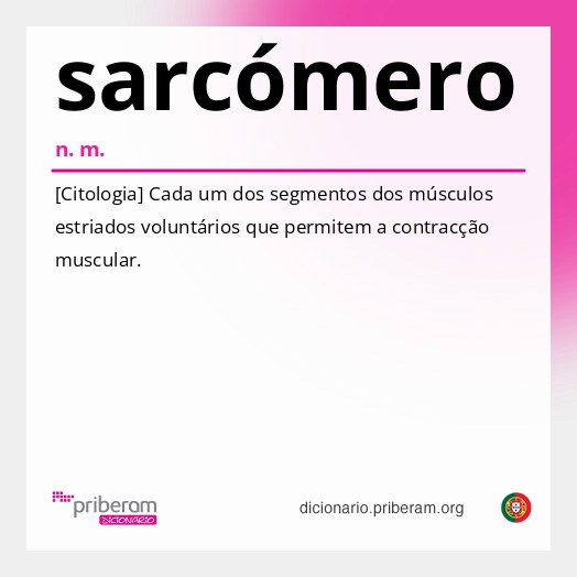 Significado de sarcómero