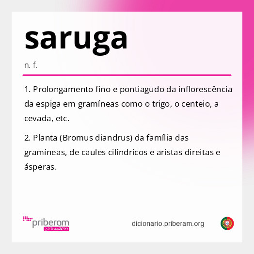 Significado de saruga