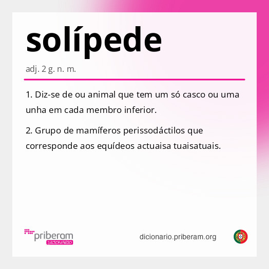 Significado de solípede
