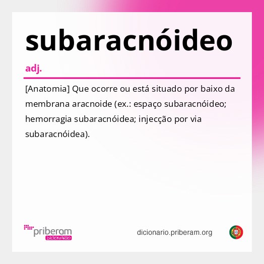 Significado de subaracnóideo