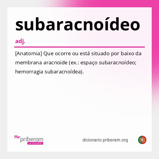 Significado de subaracnoídeo
