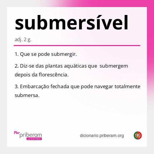 Significado de submersível