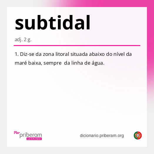 Significado de subtidal