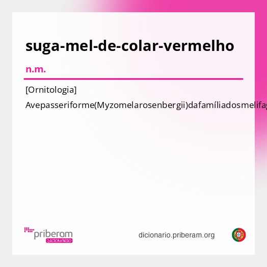 Significado de suga-mel-de-colar-vermelho