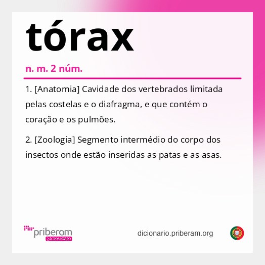 Significado de tórax