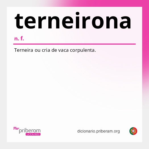 Significado de terneirona