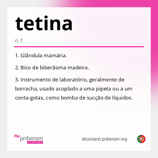 Significado de tetina