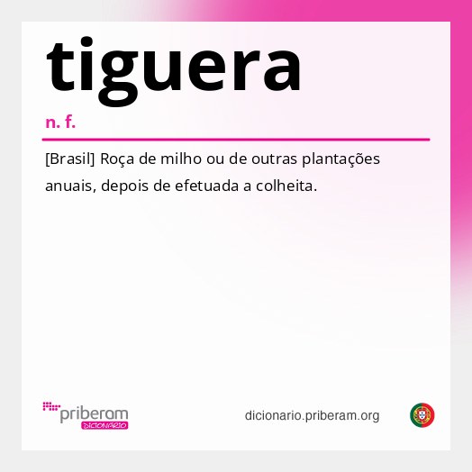 Significado de tiguera