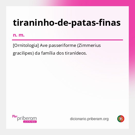 Significado de tiraninho-de-patas-finas