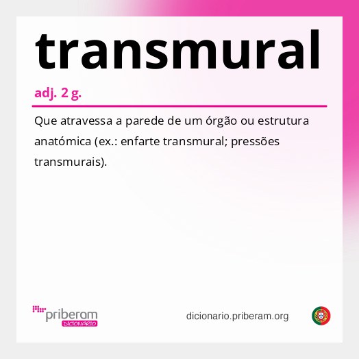Significado de transmural