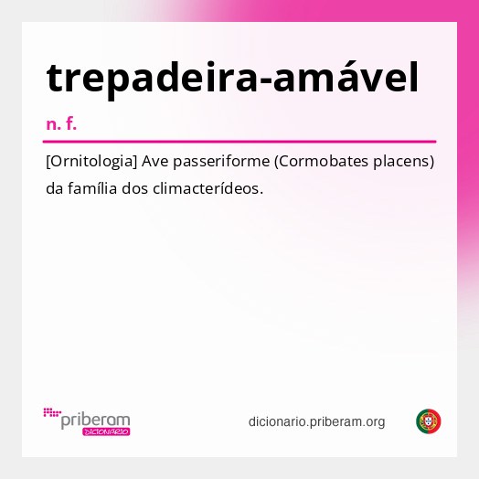 Significado de trepadeira-amável