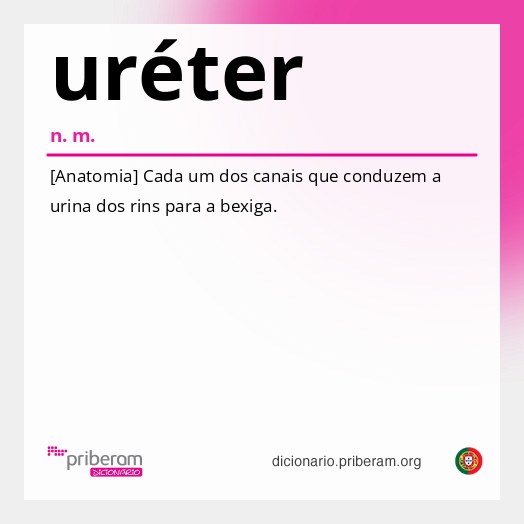 Significado de uréter