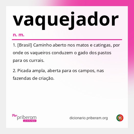 Significado de vaquejador