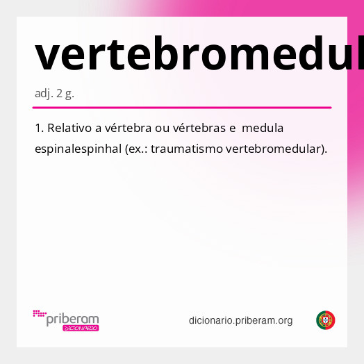 Significado de vertebromedular