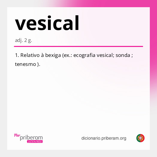 Significado de vesical