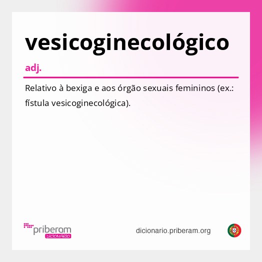 Significado de vesicoginecológico