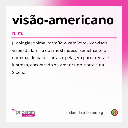 Significado de visão-americano