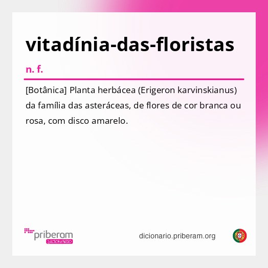 Significado de vitadínia-das-floristas