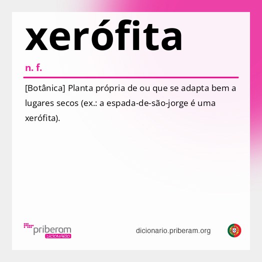 Significado de xerófita