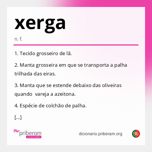 Significado de xerga