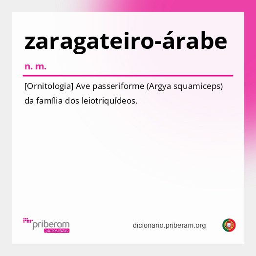Significado de zaragateiro-árabe