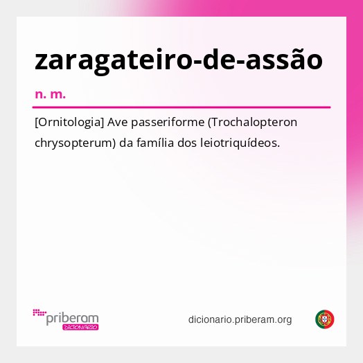 Significado de zaragateiro-de-assão