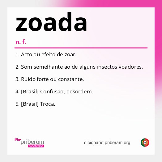 Significado de zoada