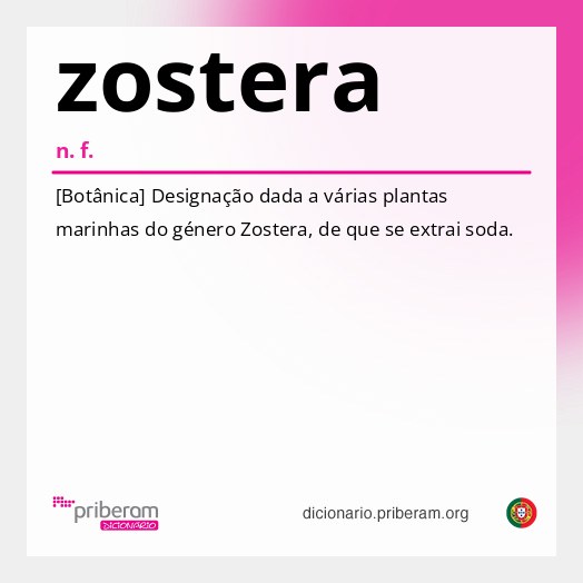 Significado de zostera