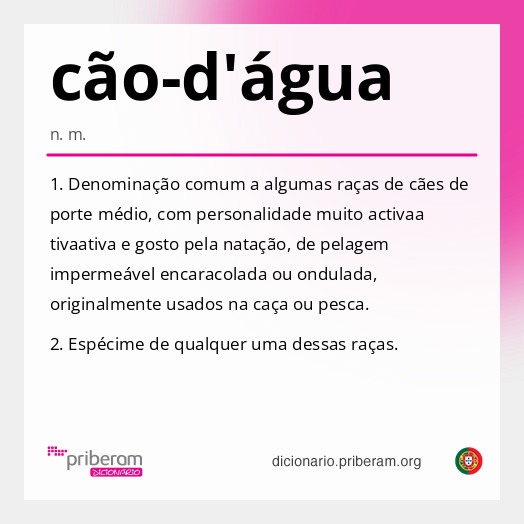 cão-d'água