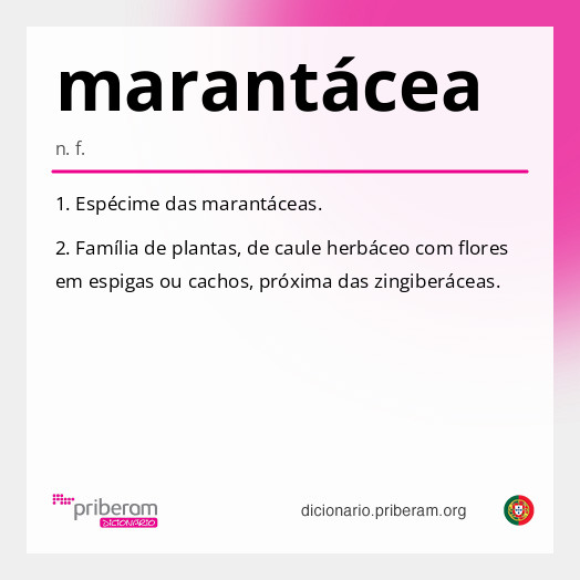 
   Significado de marantácea