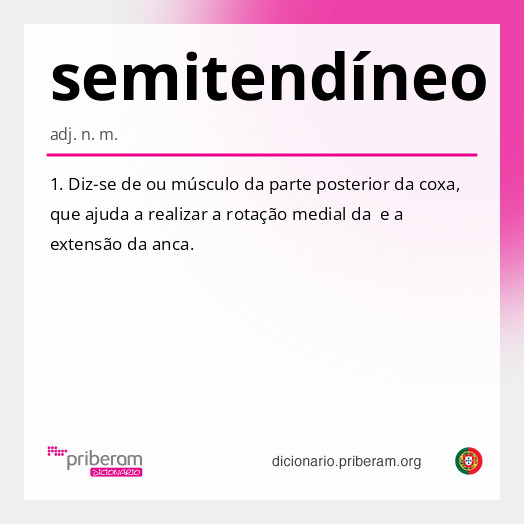 
   Significado de semitendíneo